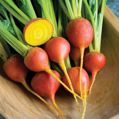 goldbeets.png