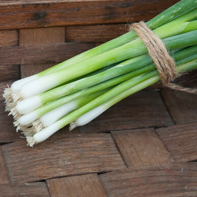 greenonionbunch.png