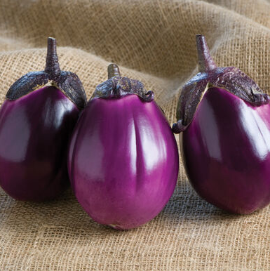 beatriceeggplant.png