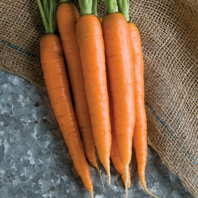 nectarcarrots.png