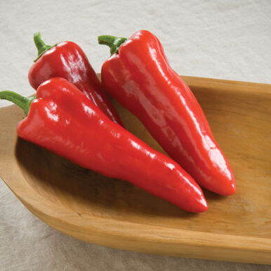 carmenpepper.png
