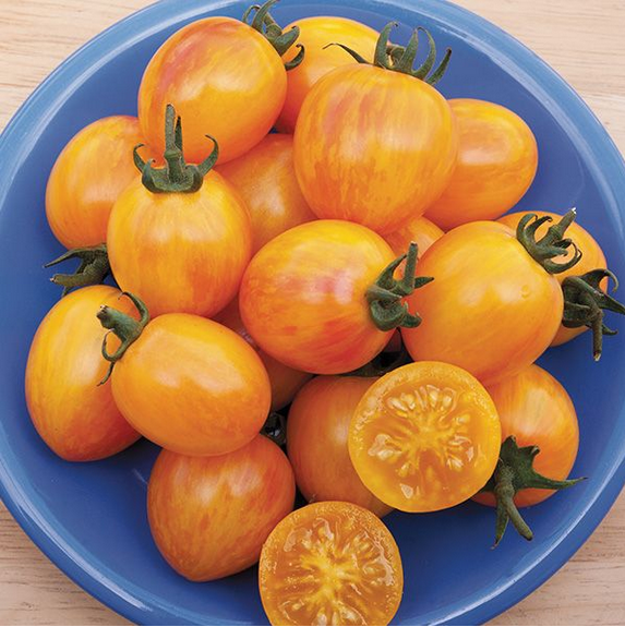 sunrisebumblebeecherrytoms.png