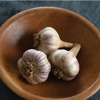 garlic.png