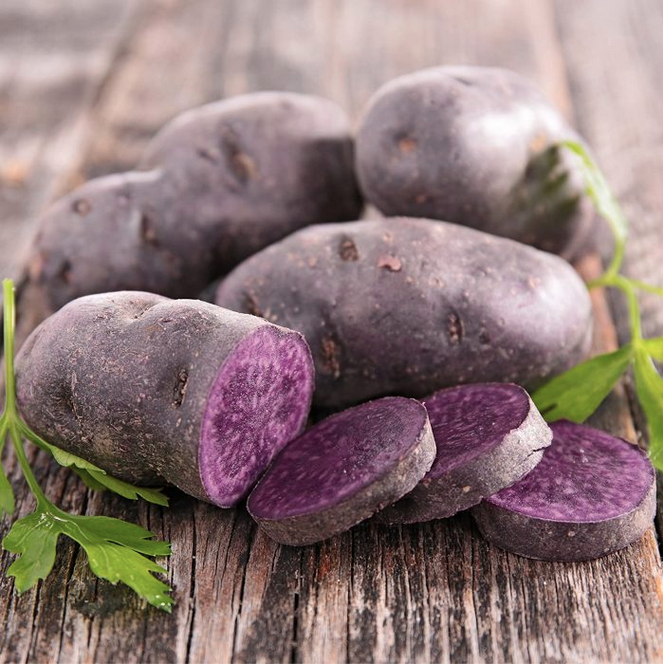 magicmollypotatoes3.png