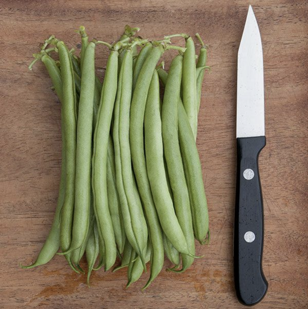 bushbean.png