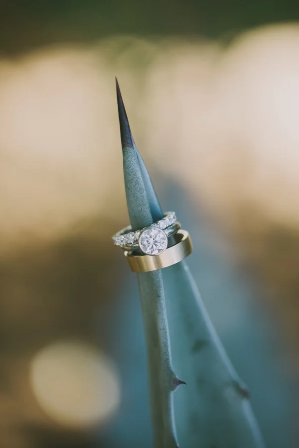 FondlyForeverPhotography_Sarah+Ben001.jpg
