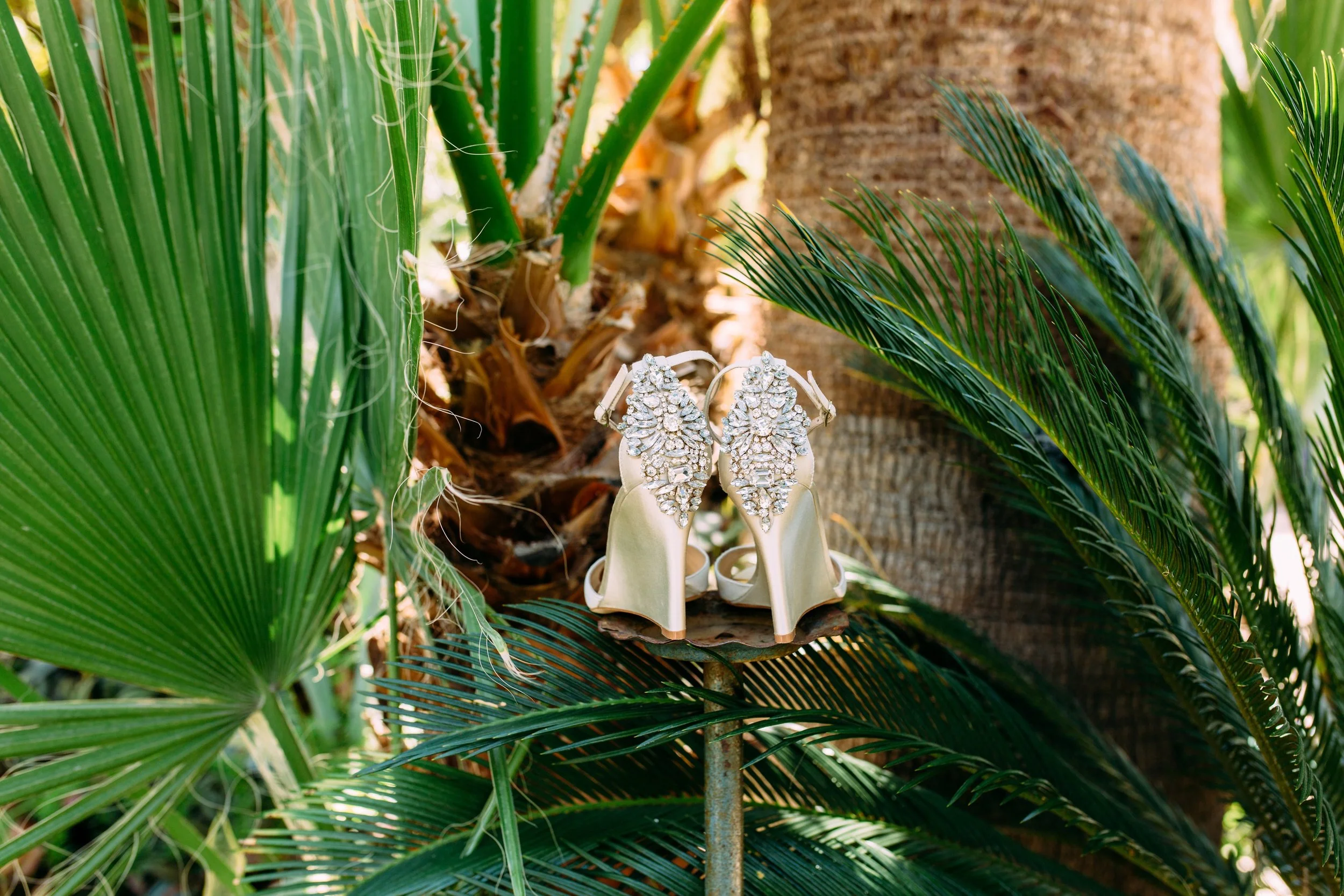 PalmSpringsweddingRickandVanessa(108of1845).jpg
