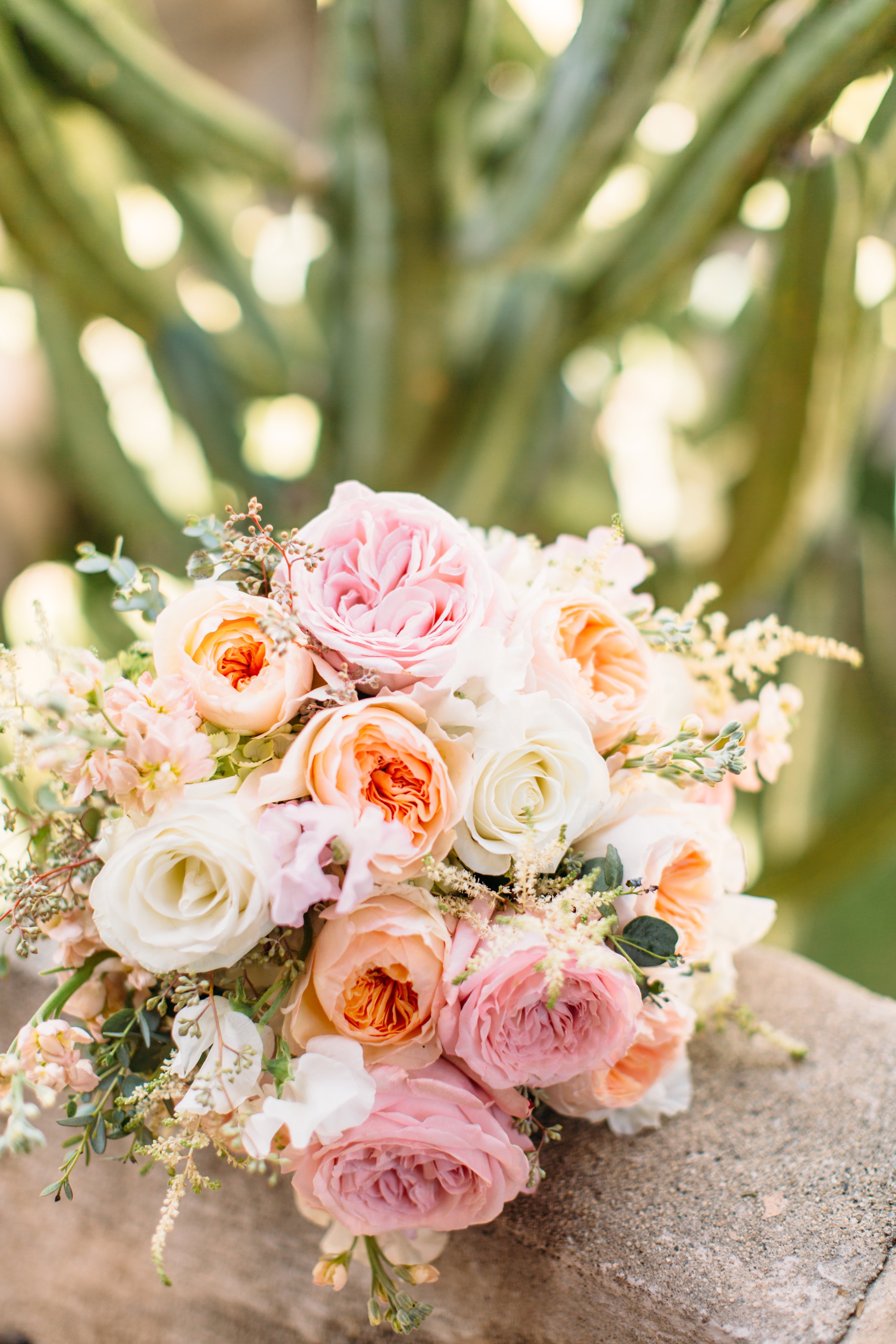 PalmSpringsweddingRickandVanessa(717of1845).jpg