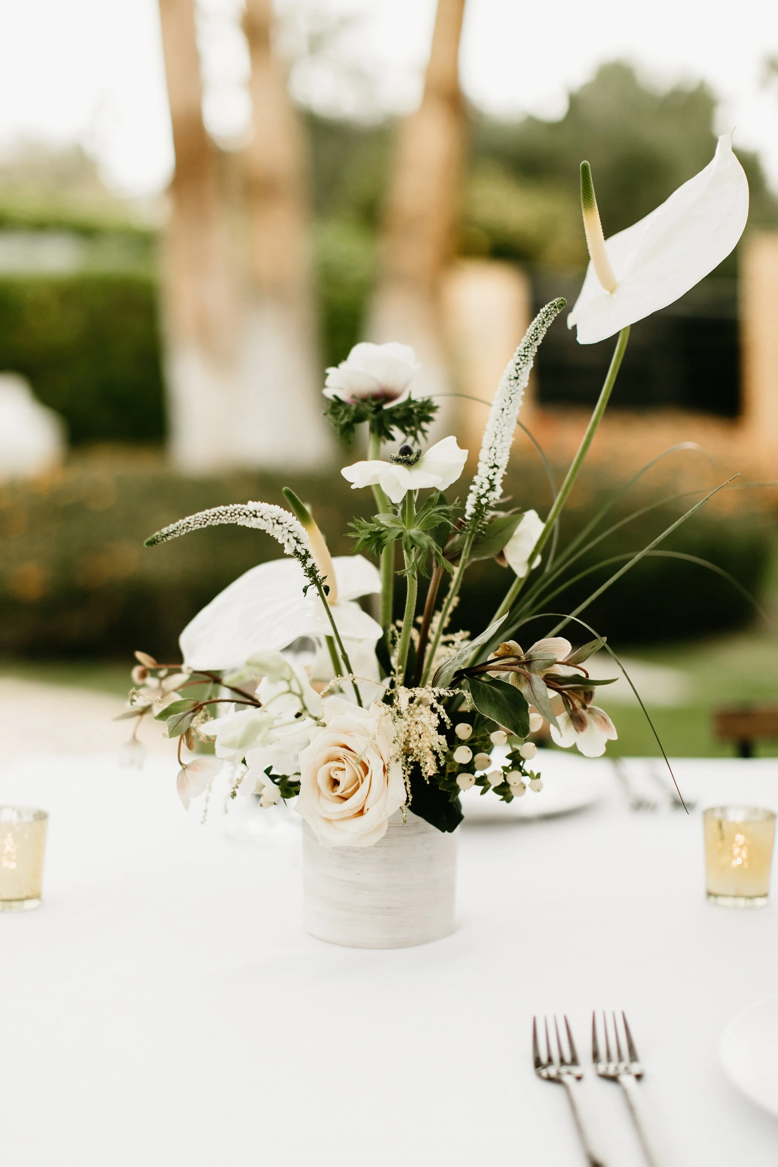 180310wed-0973.jpg