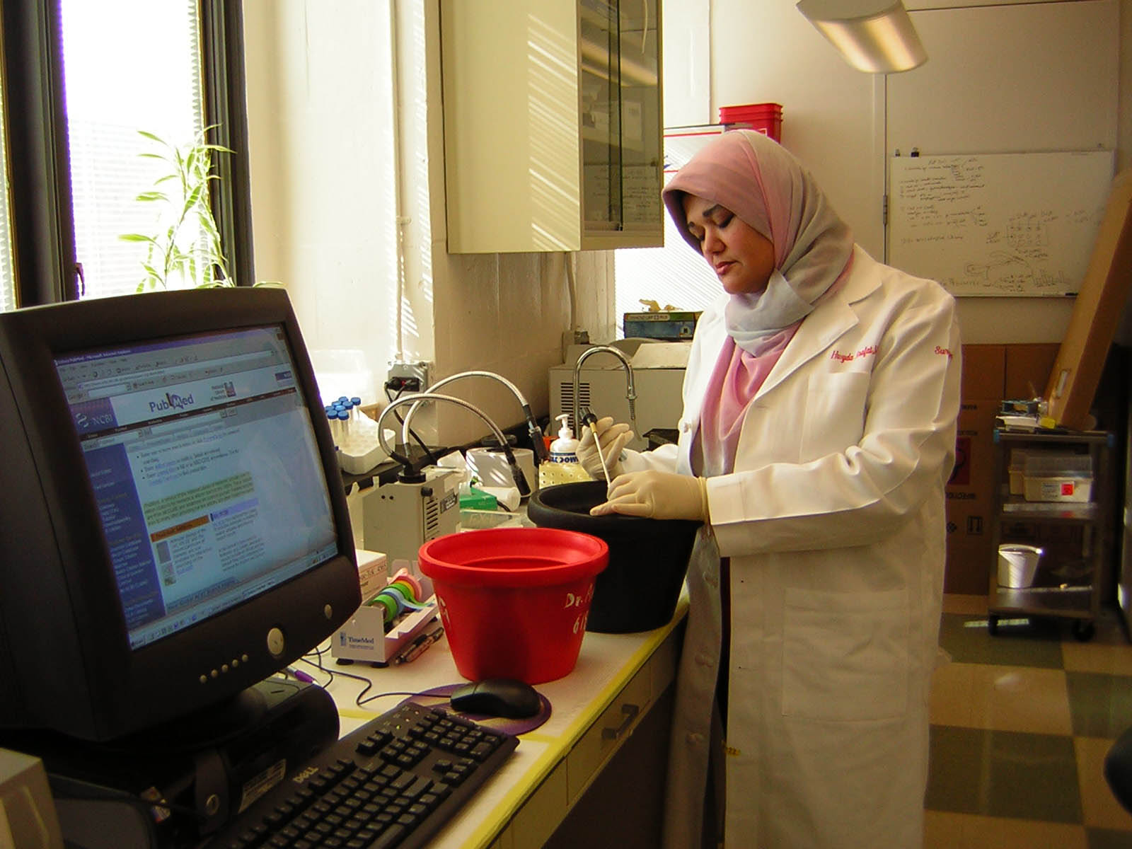 Dr. Hwyda Arafat