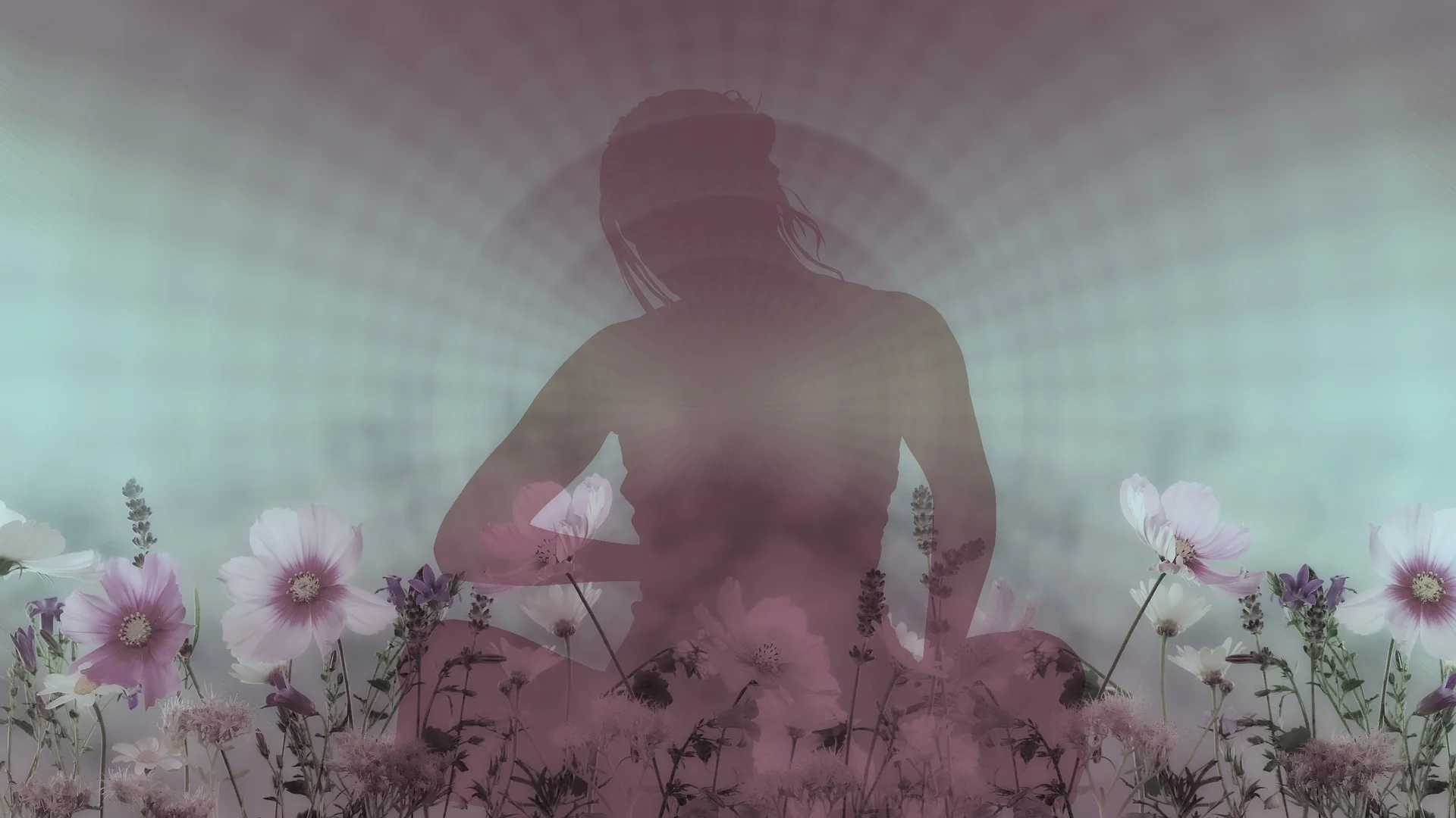 silhouette-3265851_1920.jpg