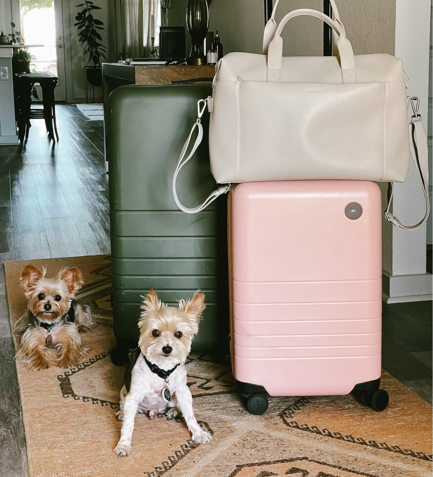 My Absolute Favorite Luggage!