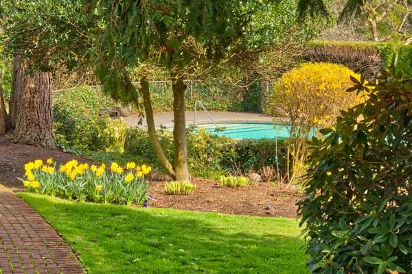 DSC_2808 pool in the gardens.jpeg