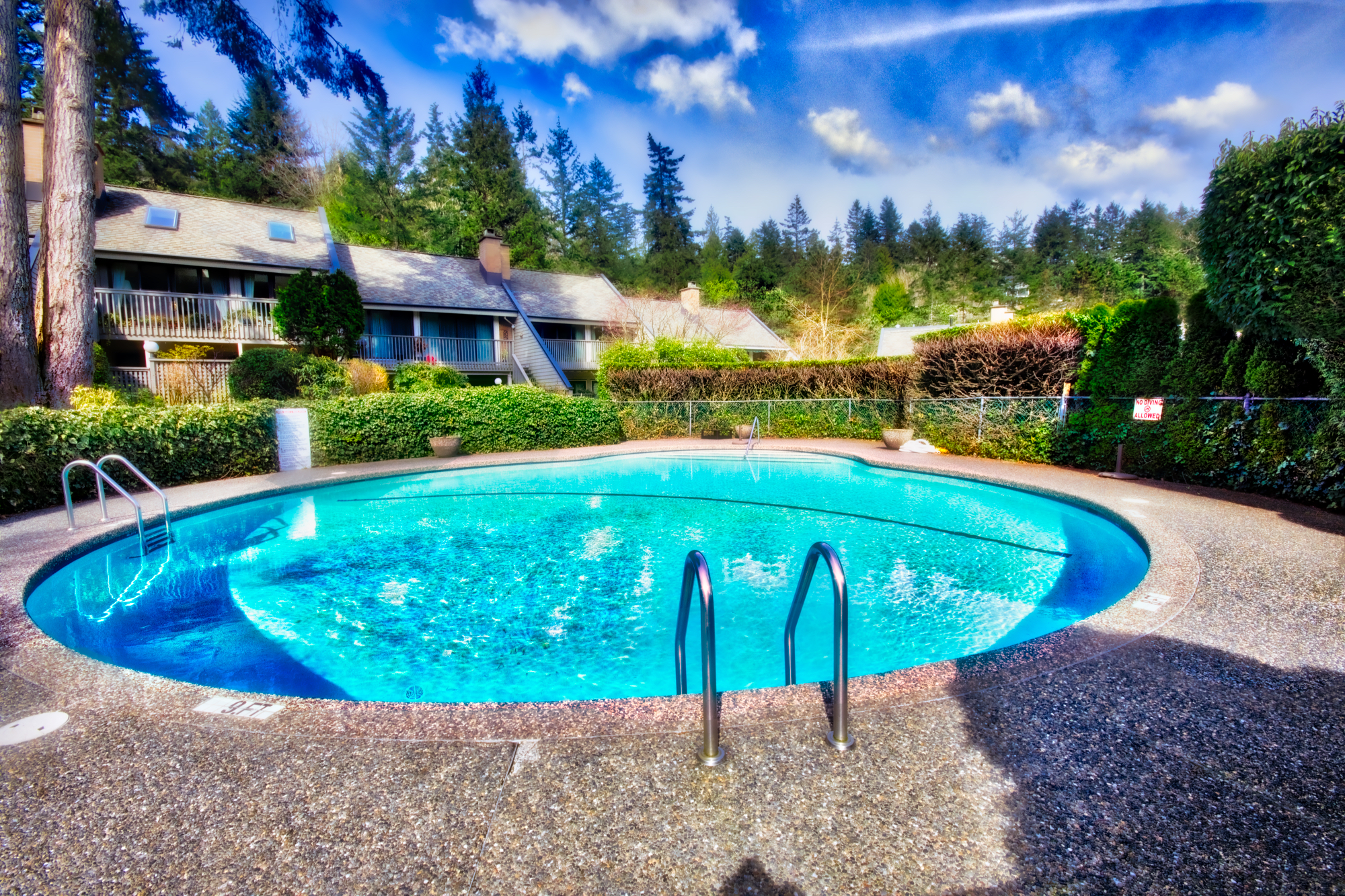 DSC_2823_HDR pool frm south.jpeg