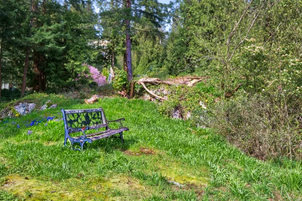 DSC_2877 Bench in the meadow.jpeg