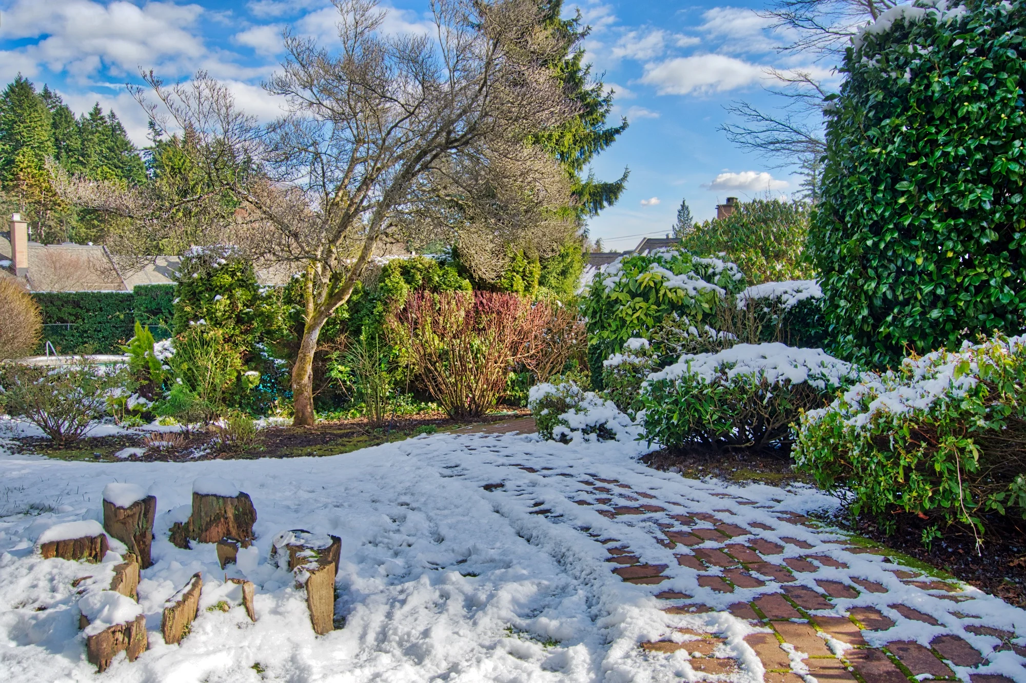 DSC_6027 gardens and pathway.jpeg