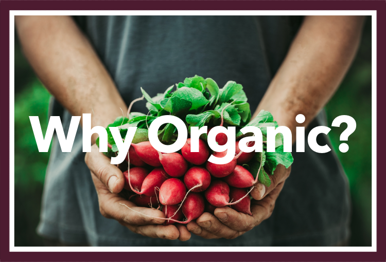 The Benefits of Buying Organic Produce
