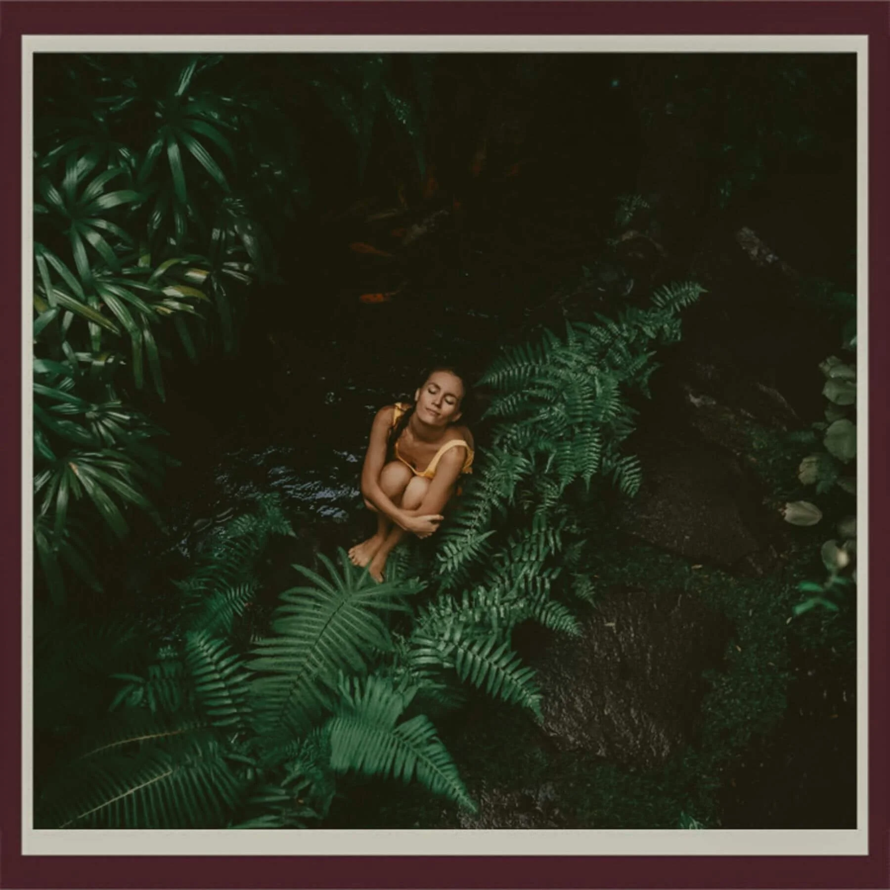 Forest Bathing, Earthing, and Grounding