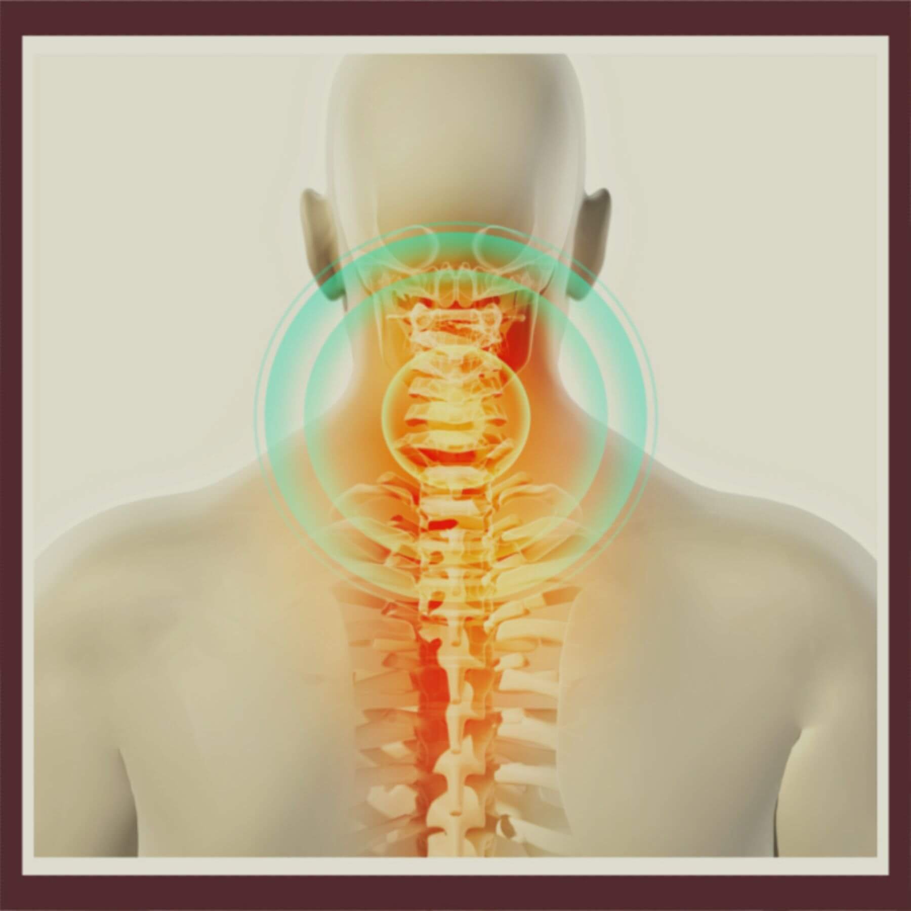 Dural Tube Stretch for the Spine and Nervous System