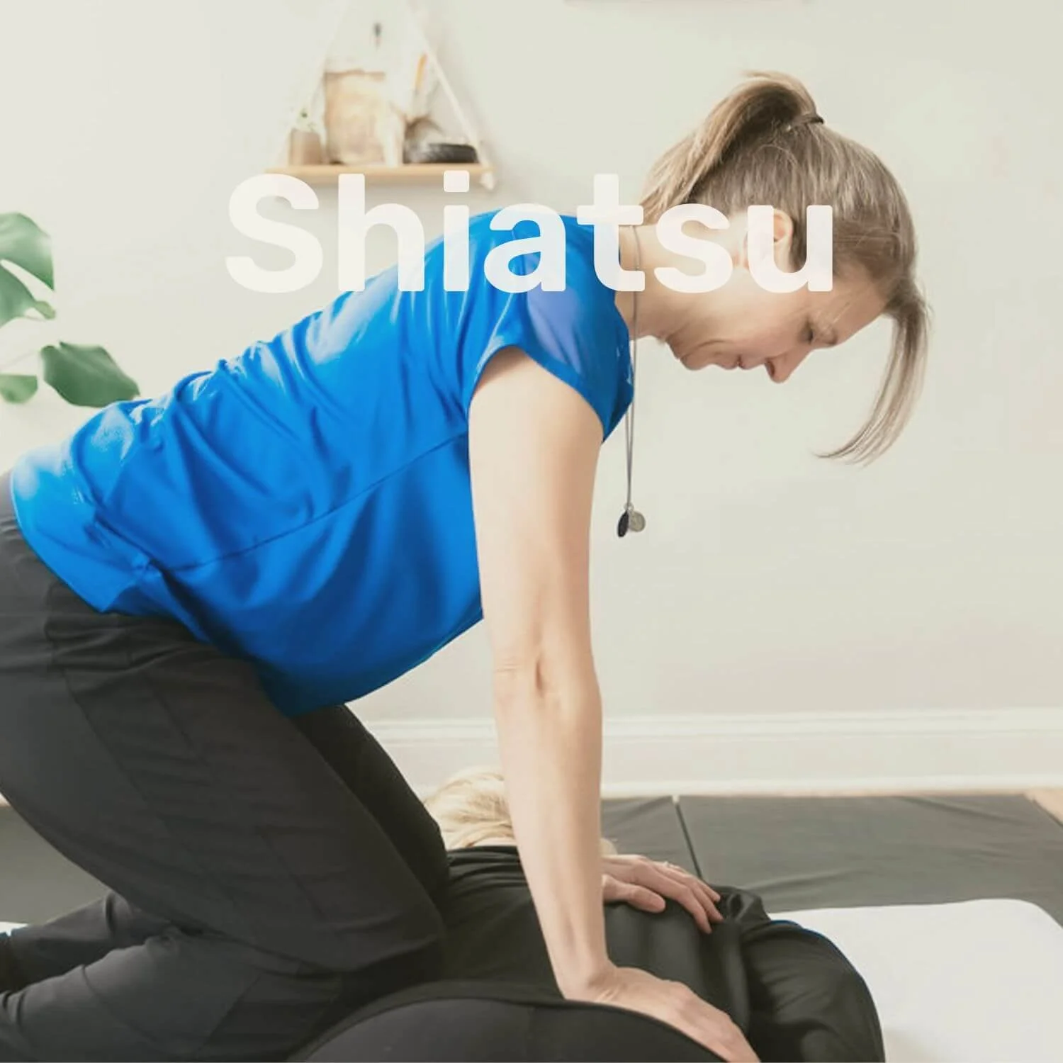 zen-shiatsu-bodywork-northfield-il.jpg