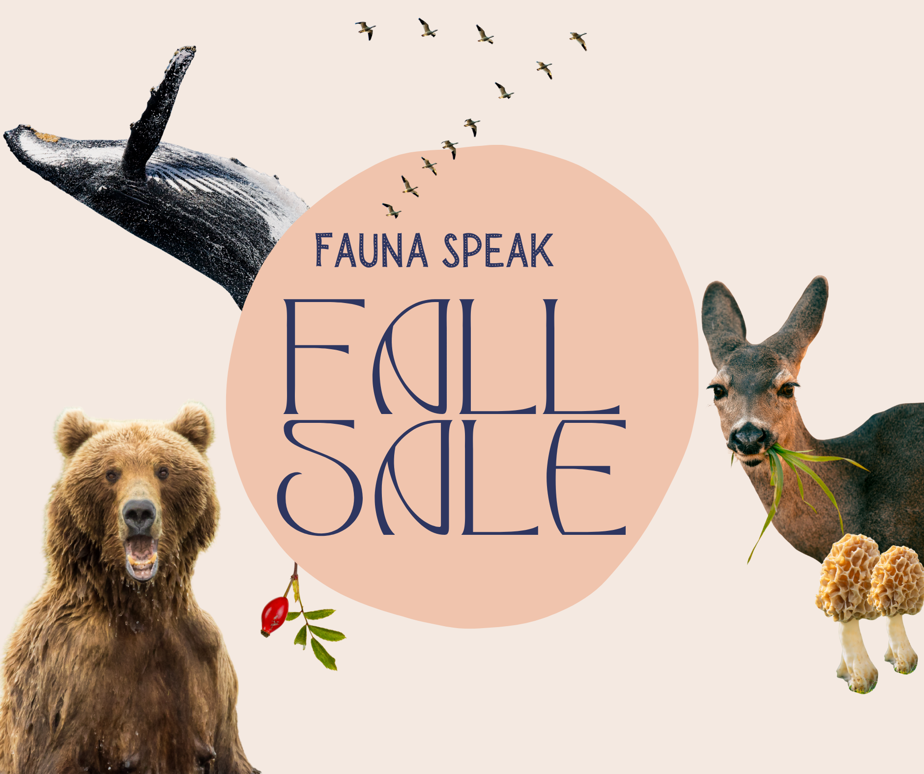 Fauna Speak FALL SALE