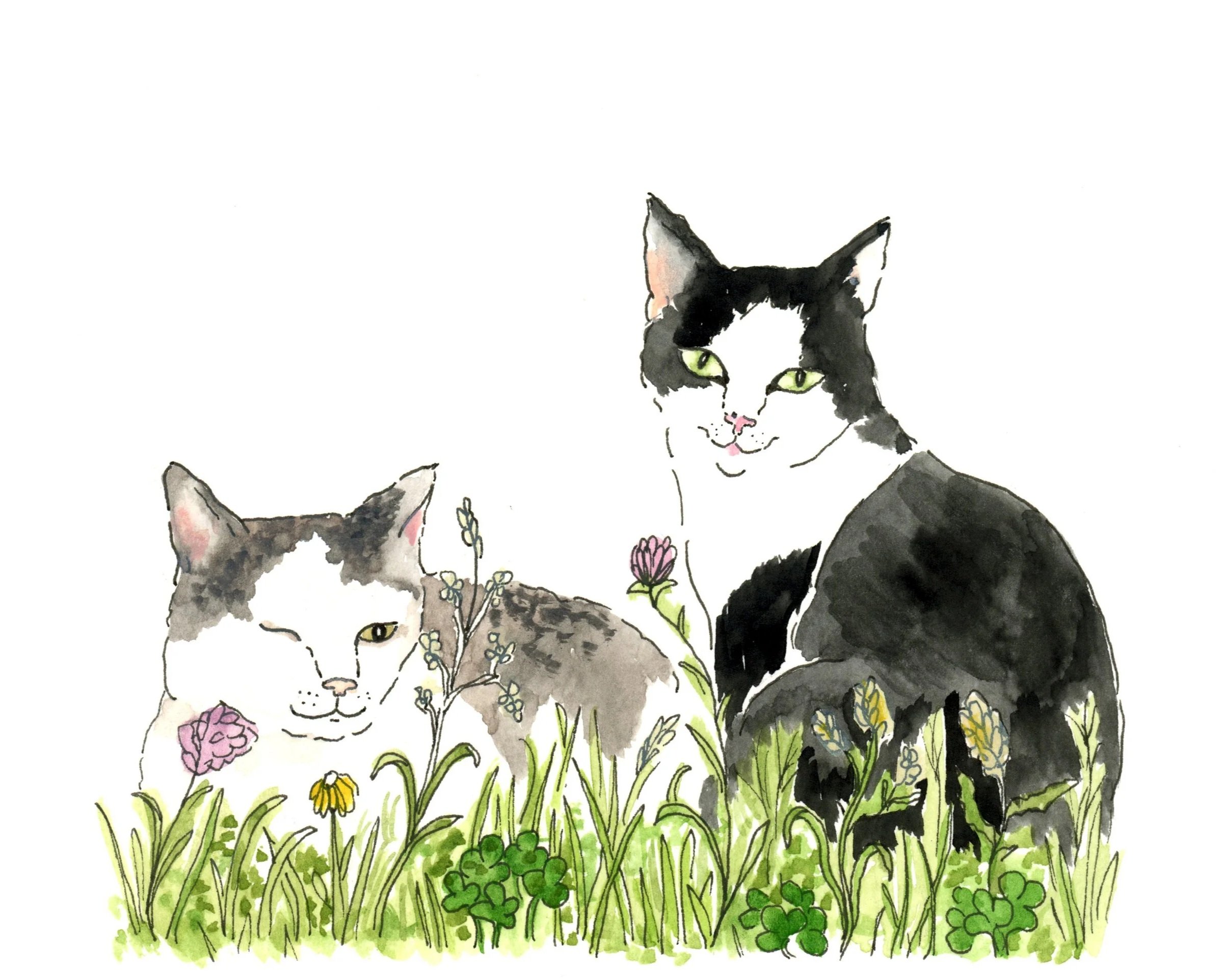 Animal Portrait +Session