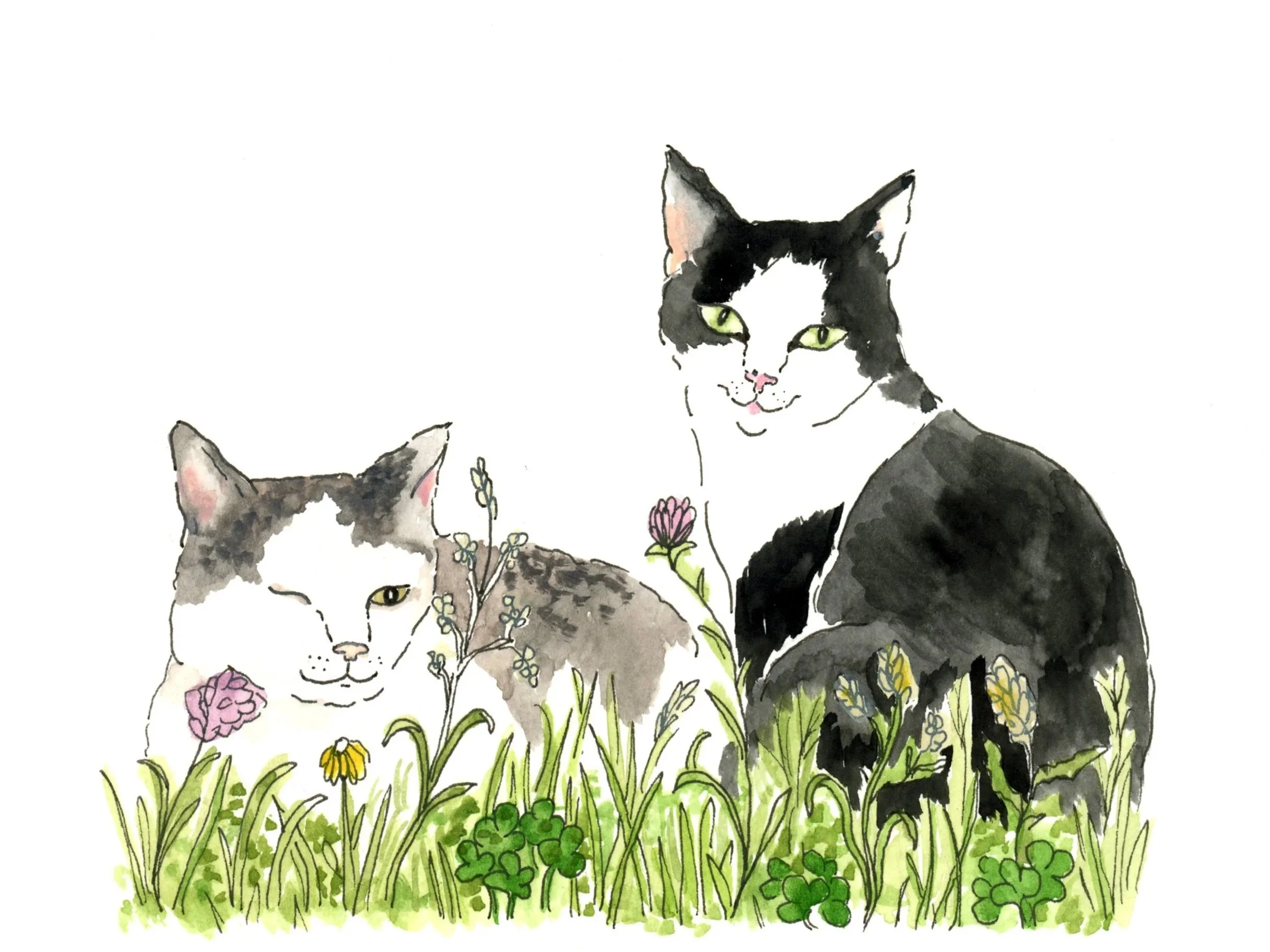 Animal Portrait +Session