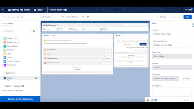 Adding Tagger to a Lightning Record Page takes 5 seconds.