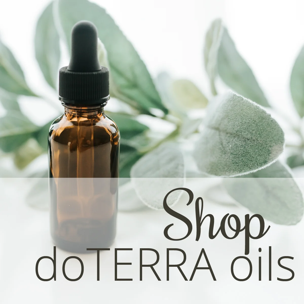 Shop Oils-01.jpg