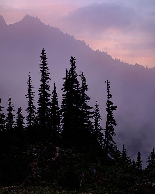 Sometimes the best sunsets are when you are in and out of the clouds, and amongst the mountains. .
.
.
.
.
#olympicpeninsula #naturephotography #optoutside #cascadiaexplored #olympicnationalpark #ig_sunsets #washingtonstate #pnw #upperleftusa #pnwlif