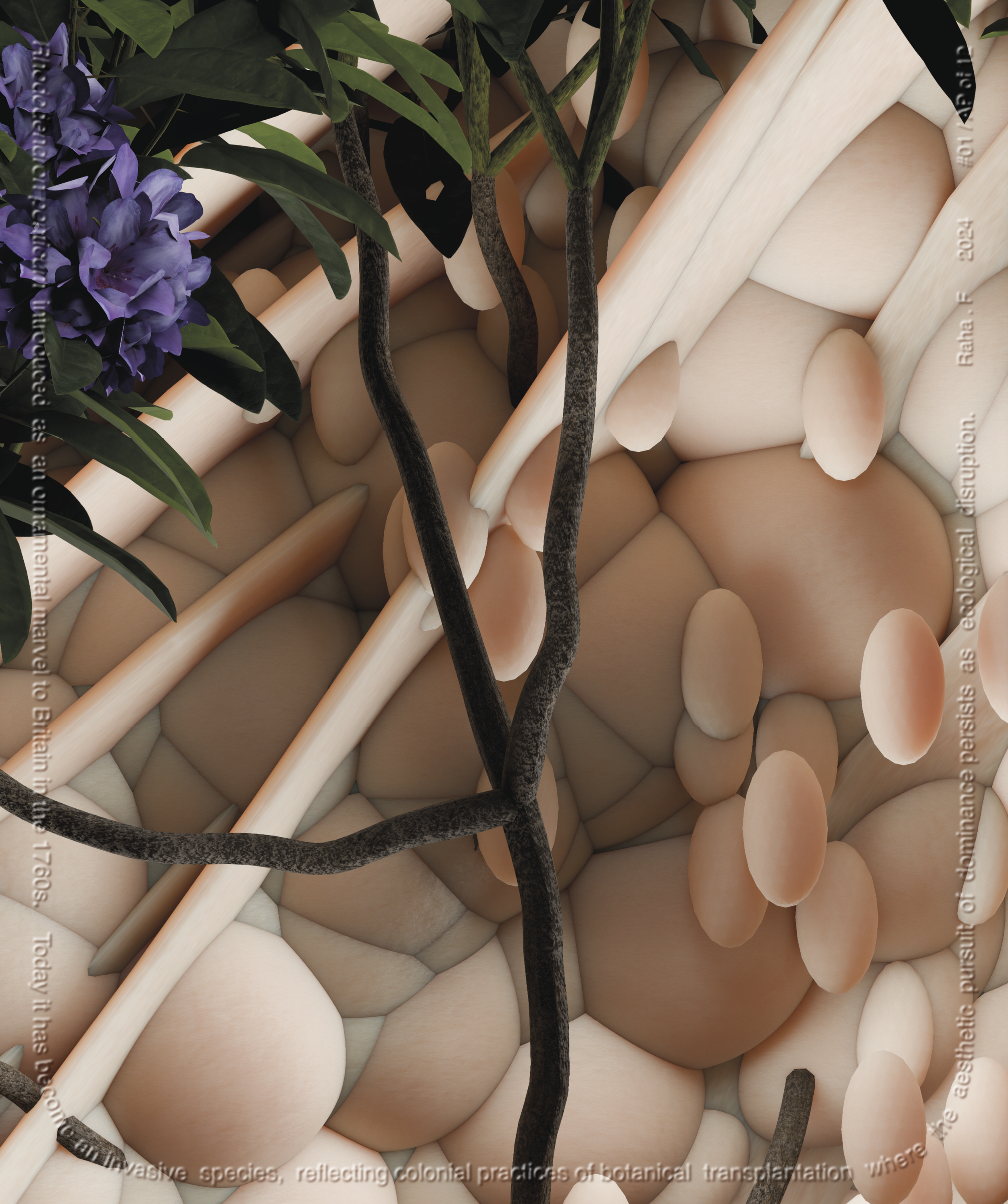   Invasive Steps , 1 of 12 Excerpt Drawings Limited Edition of 3 26 x 34 Giclée Archival Pigment Print on Hahnemühle Paper 