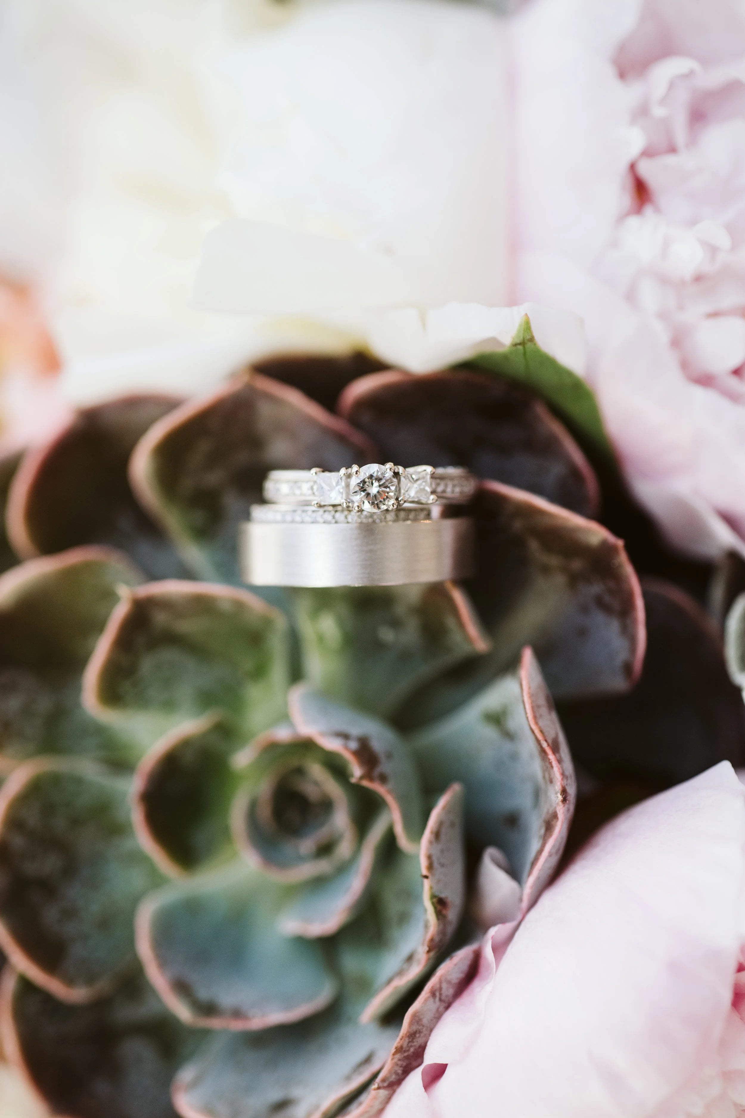 Caitlin + Matt_sneak previews-5.jpg