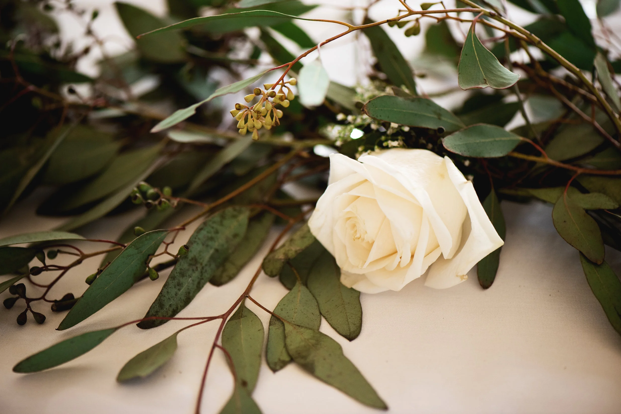 Savanna Marlee Photography (581).jpg