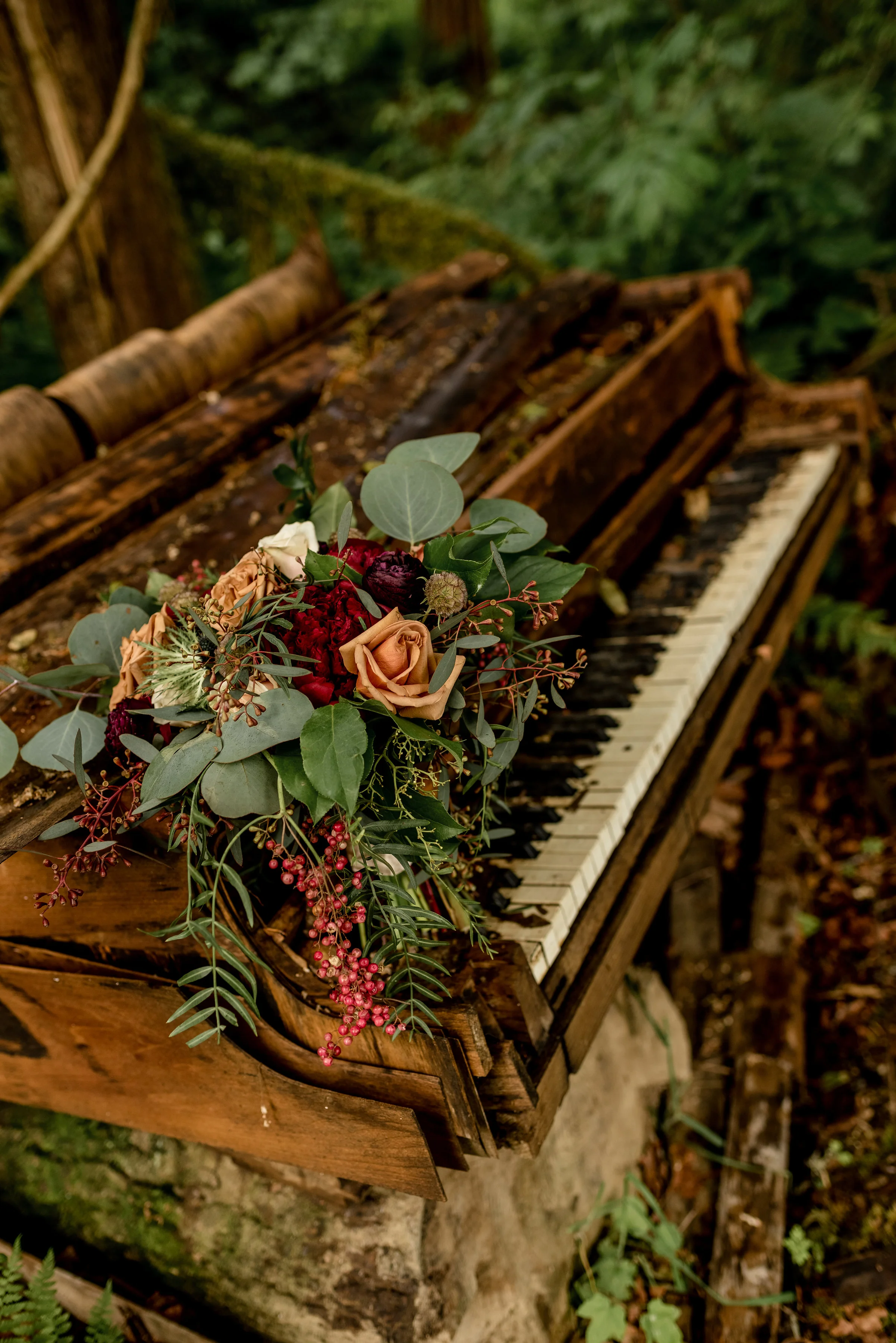piano misty.jpg