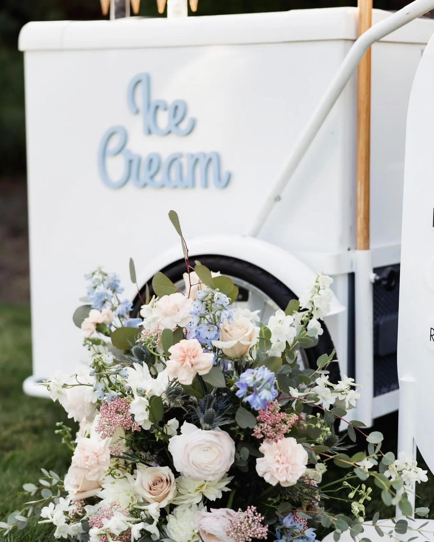 Dairyland Branding Shoot