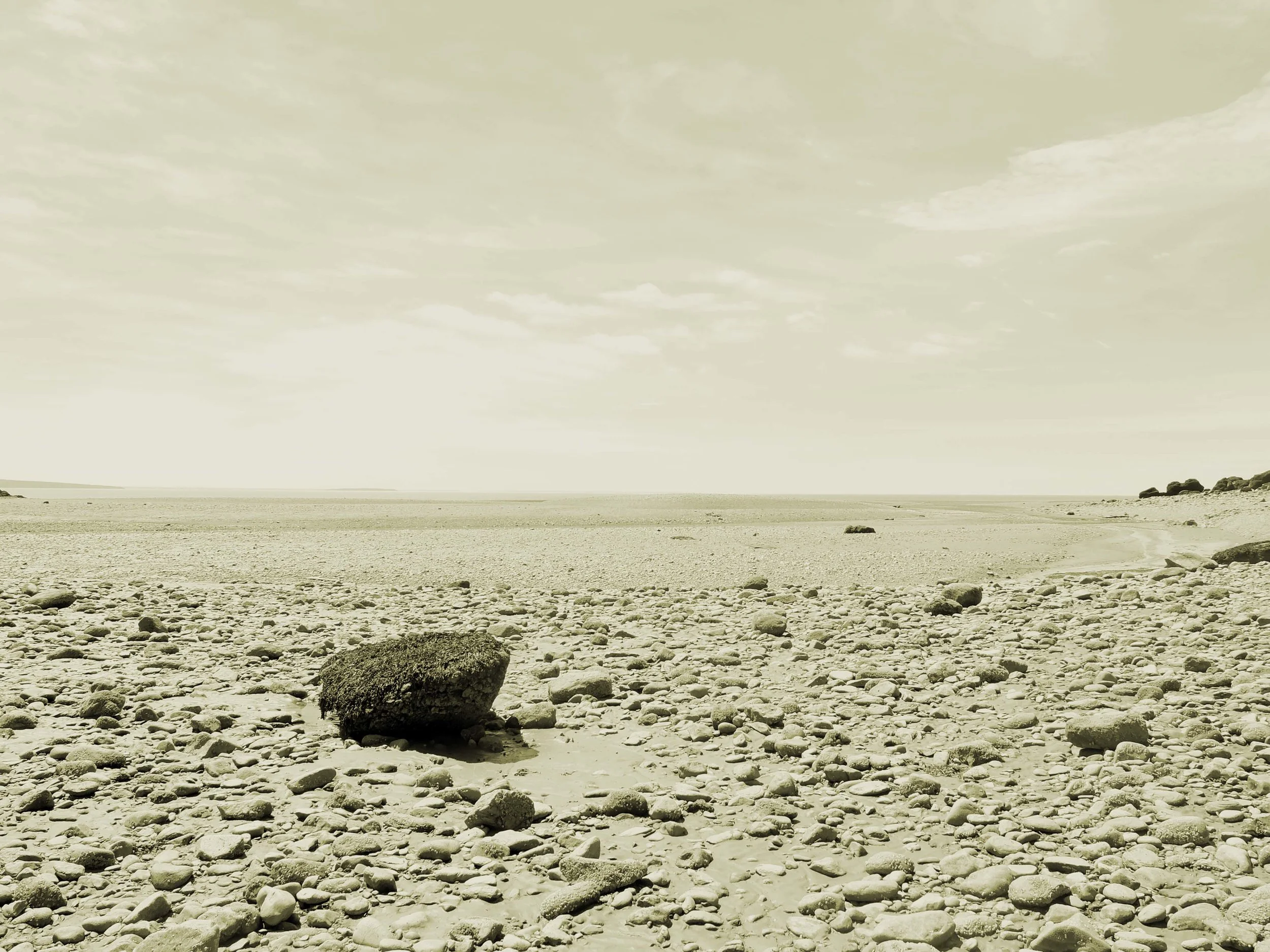 DSCF3294ii.jpg