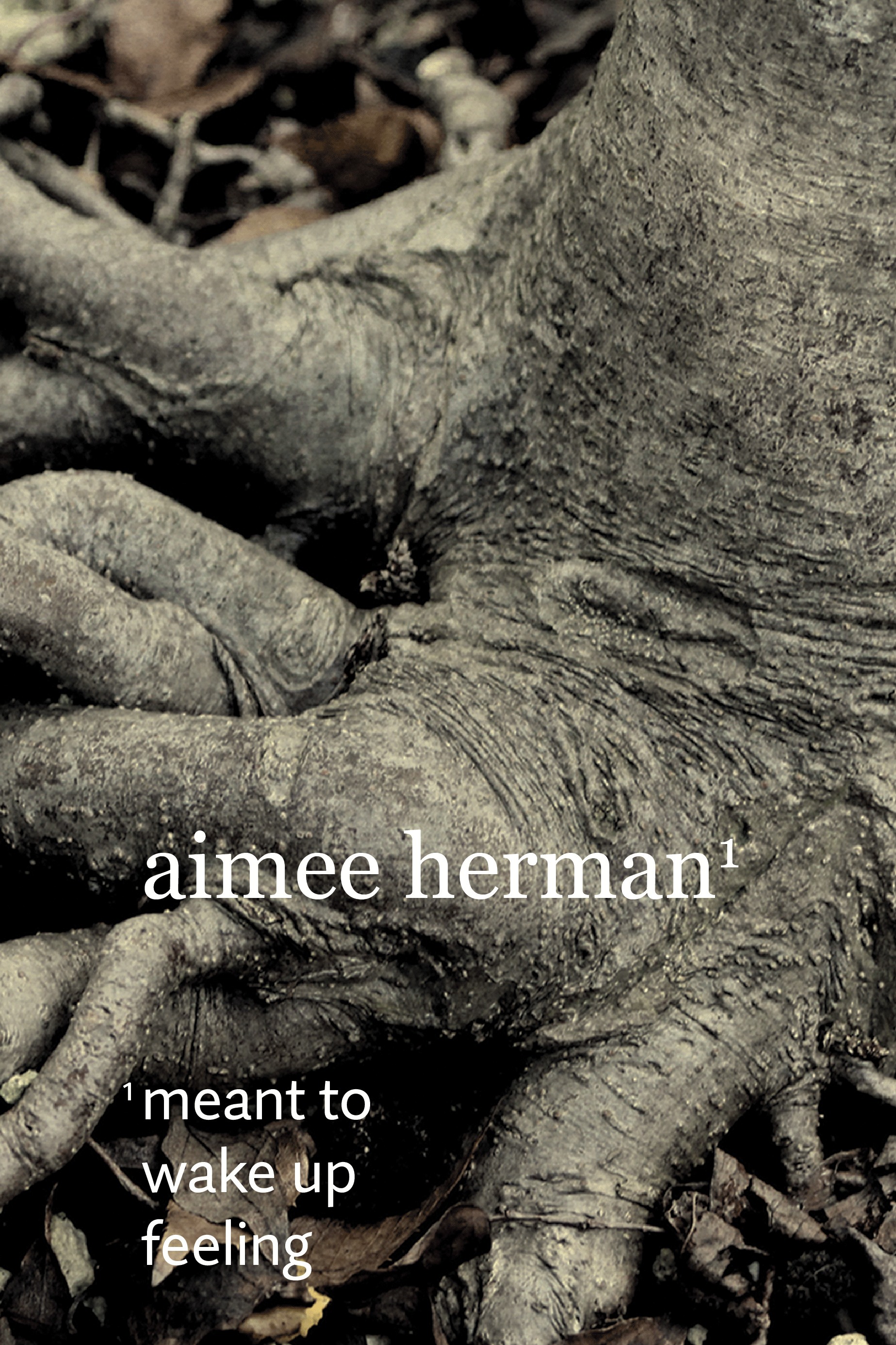 meant-to-wake-up-feeling-front-cover-web.gif