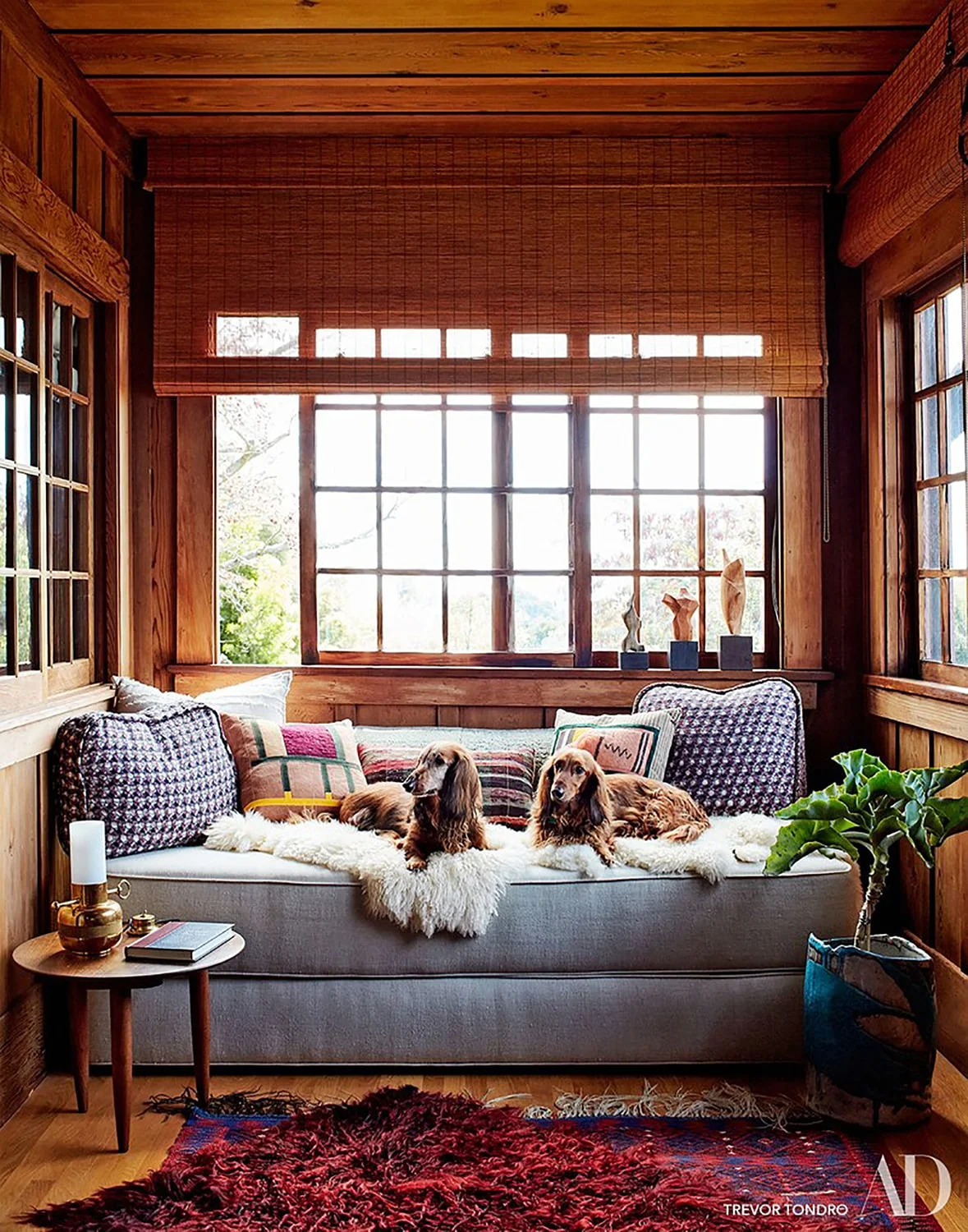 Day-Bed-Natural-Light-Wood-Detail-Studio-Geiger-Architecture.jpg