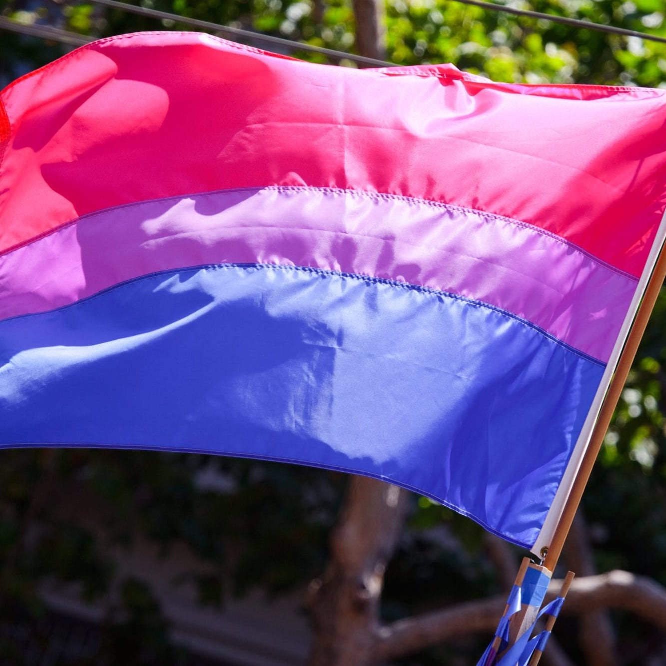 bi flag.jpg