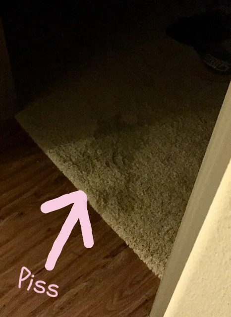image2 (1).jpeg