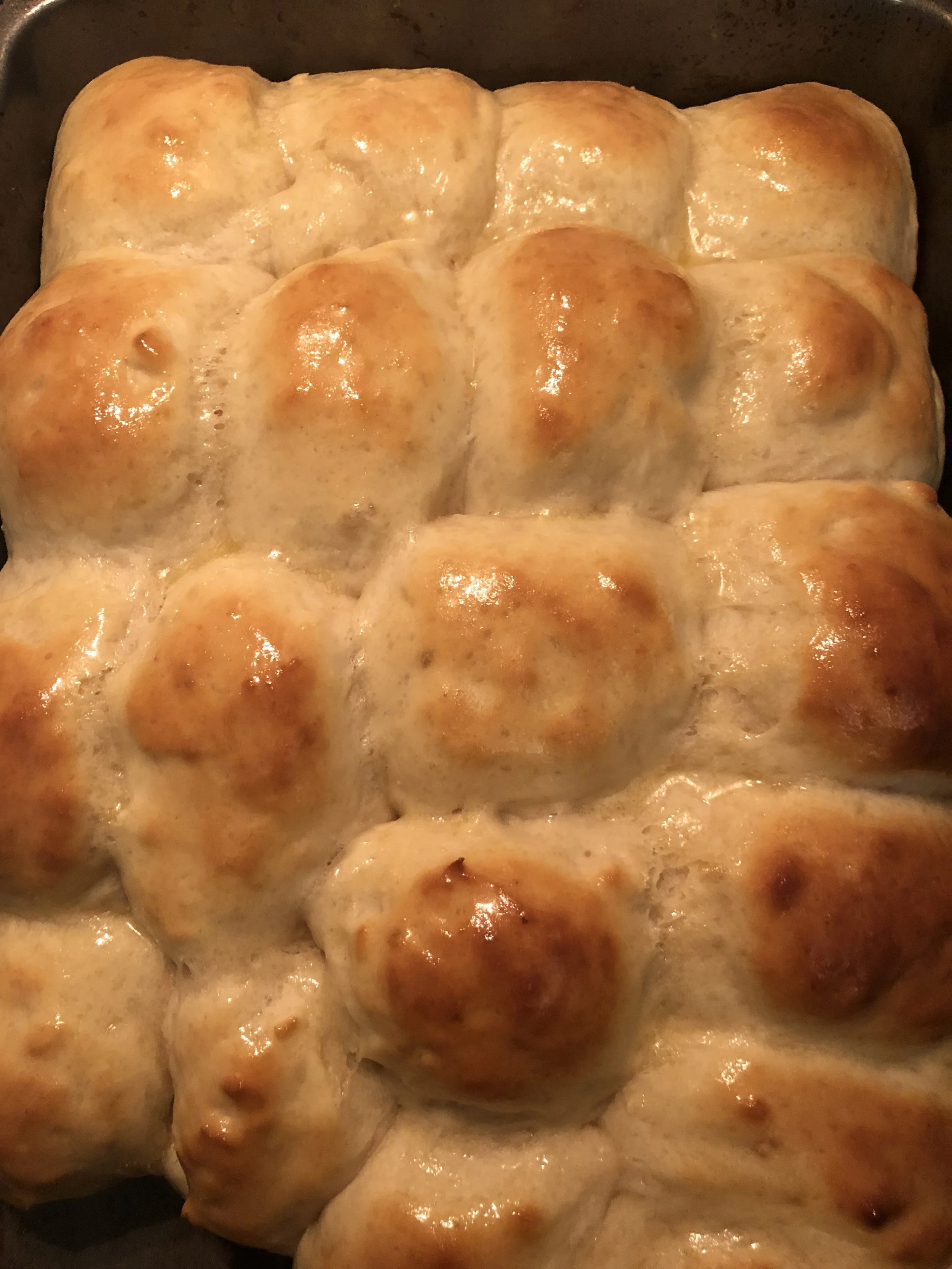 Homemade Dinner Rolls