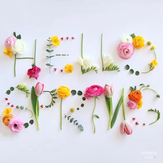 2019 SPRING TRENDS (ACCORDING TO OTHERS AS TOLD BY ME)