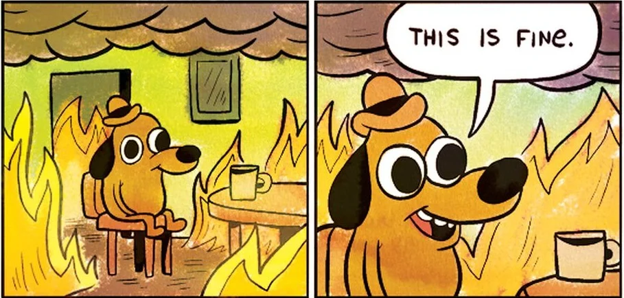 this-is-fine.0.jpg