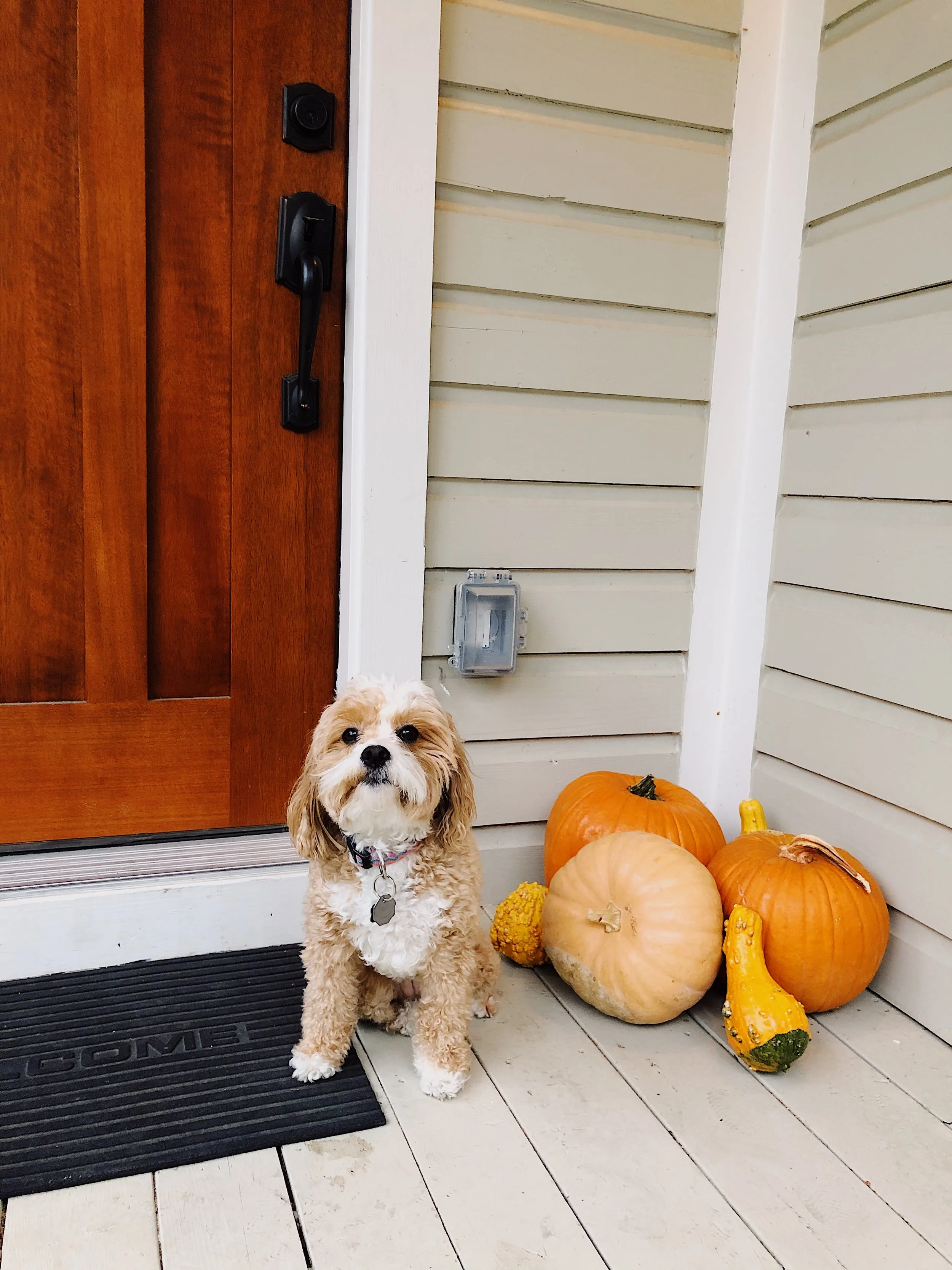 6 Reasons Why Fall Is The Best