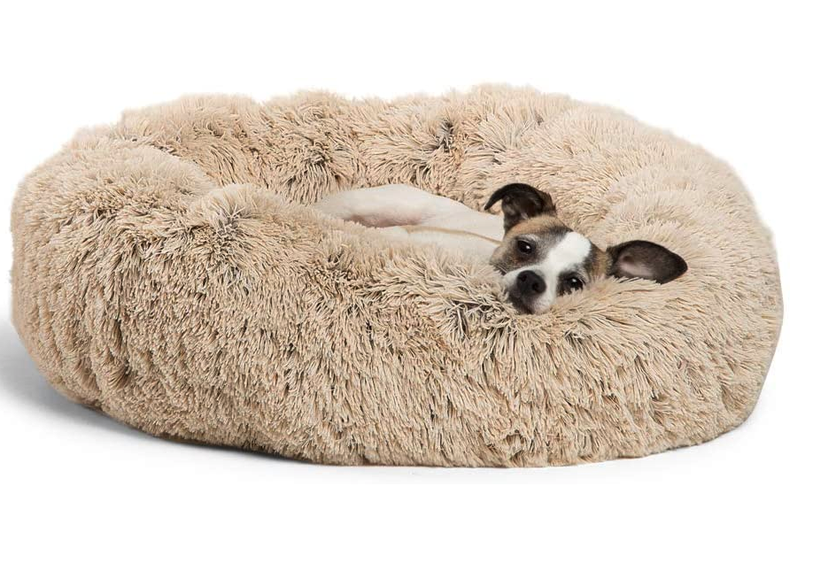 Dog Bed (Copy)