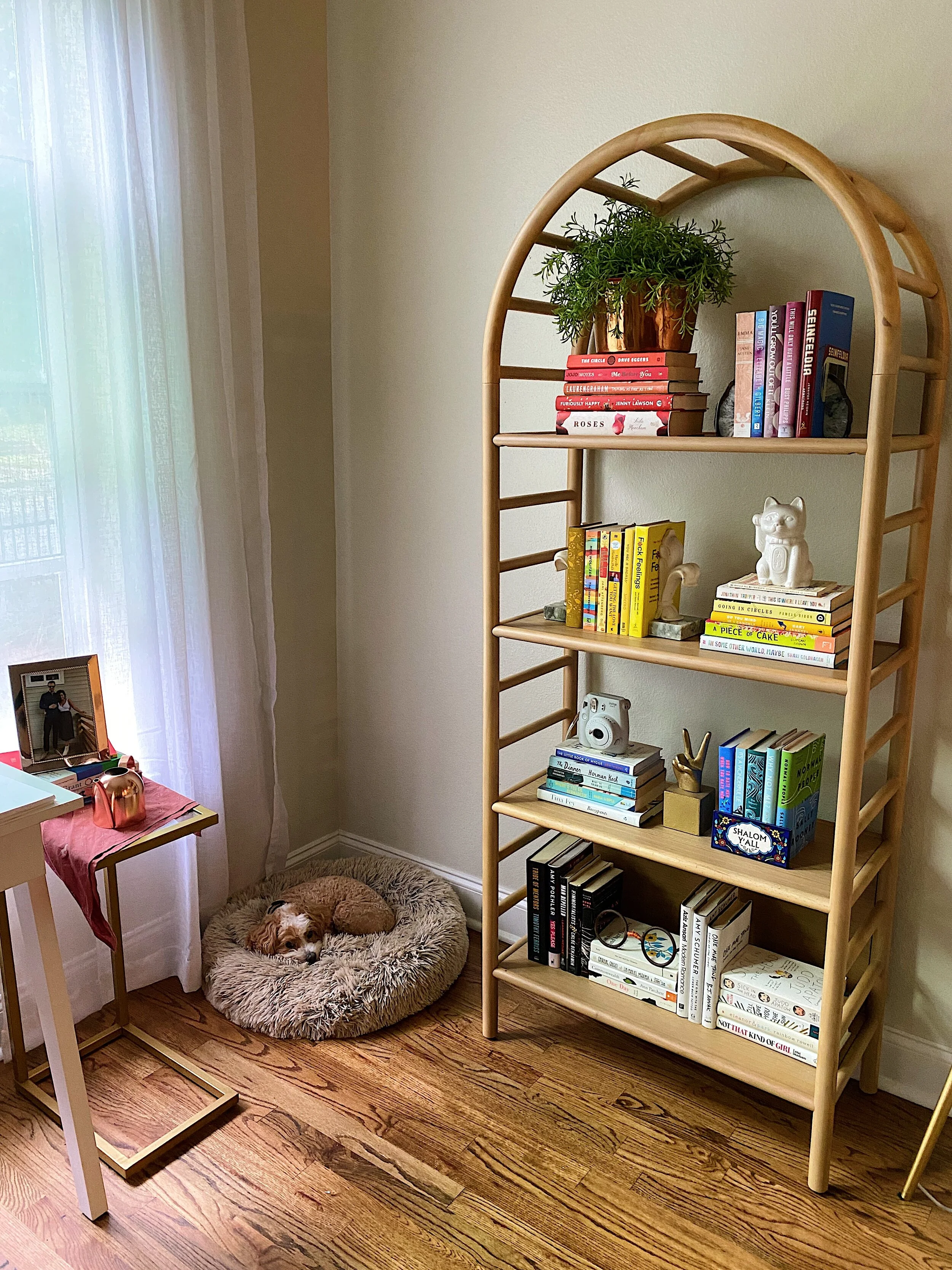 Home Decor: Floating Shelves and Curved Bookshelves Edition