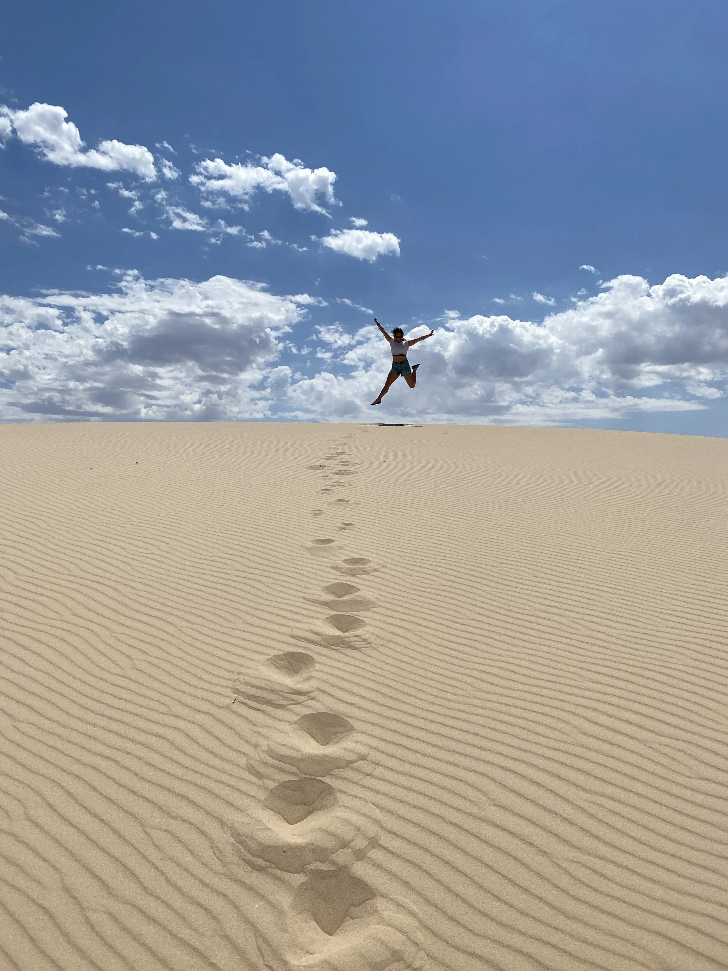 The Ultimate Terlingua and Big Bend Travel Guide