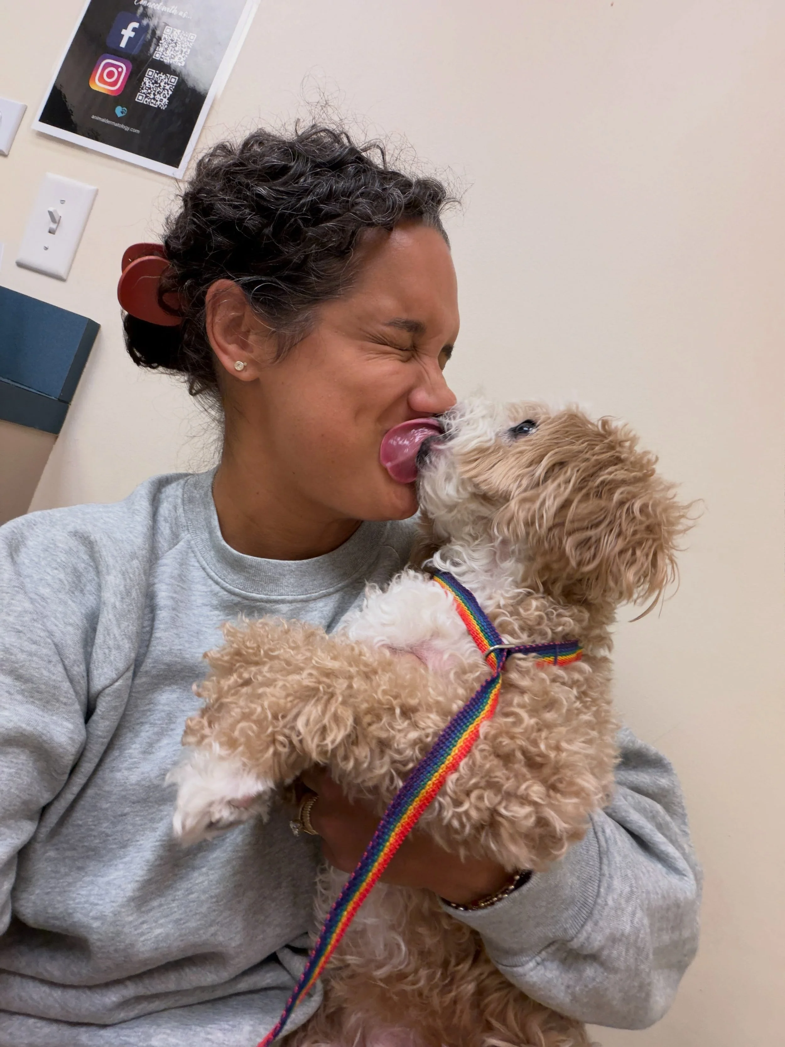 this baby girl is 14 freaking years old. FOURTEEN? HOW. even though we&rsquo;re currently at the dog dermatologist for her chronic ear infections, yeast overgrowth, and horrific skin allergies, and even though she sneezes so hard that she blows liter