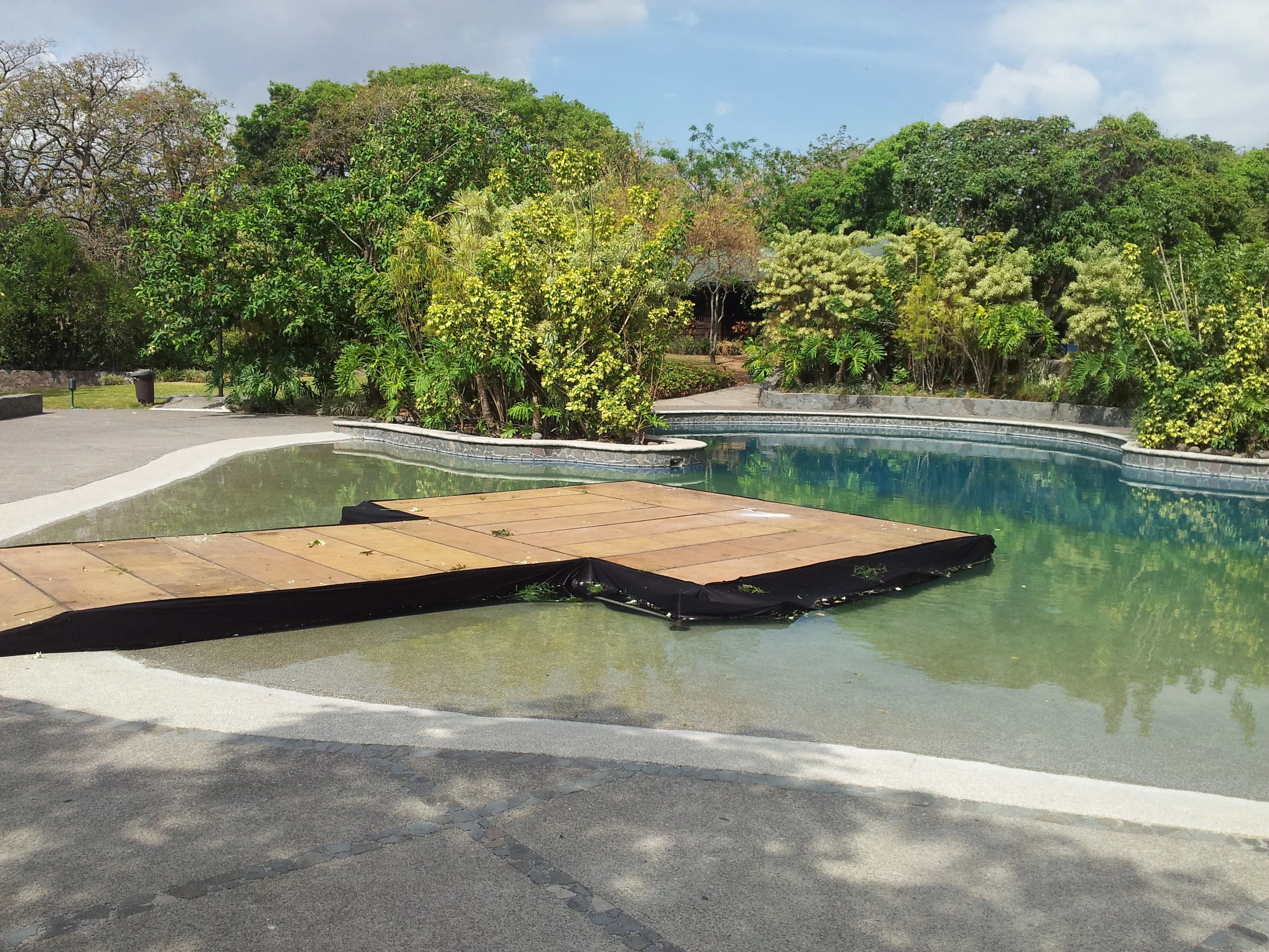 20120331_142450.jpg