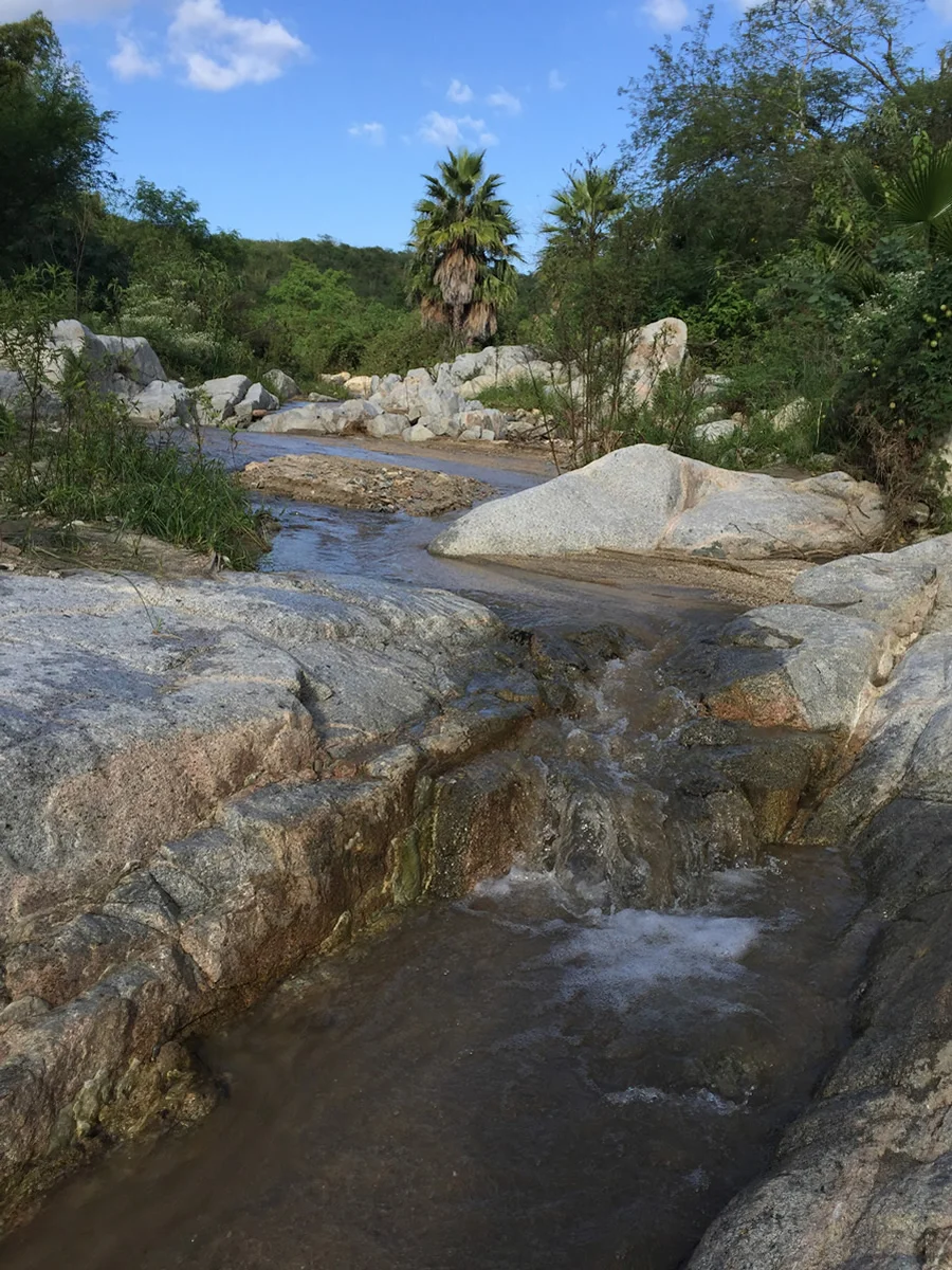 9_riverbed.jpg